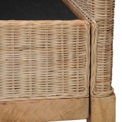 vidaXL Juego de sofás de 2 piezas con cojines de ratán natural Sale