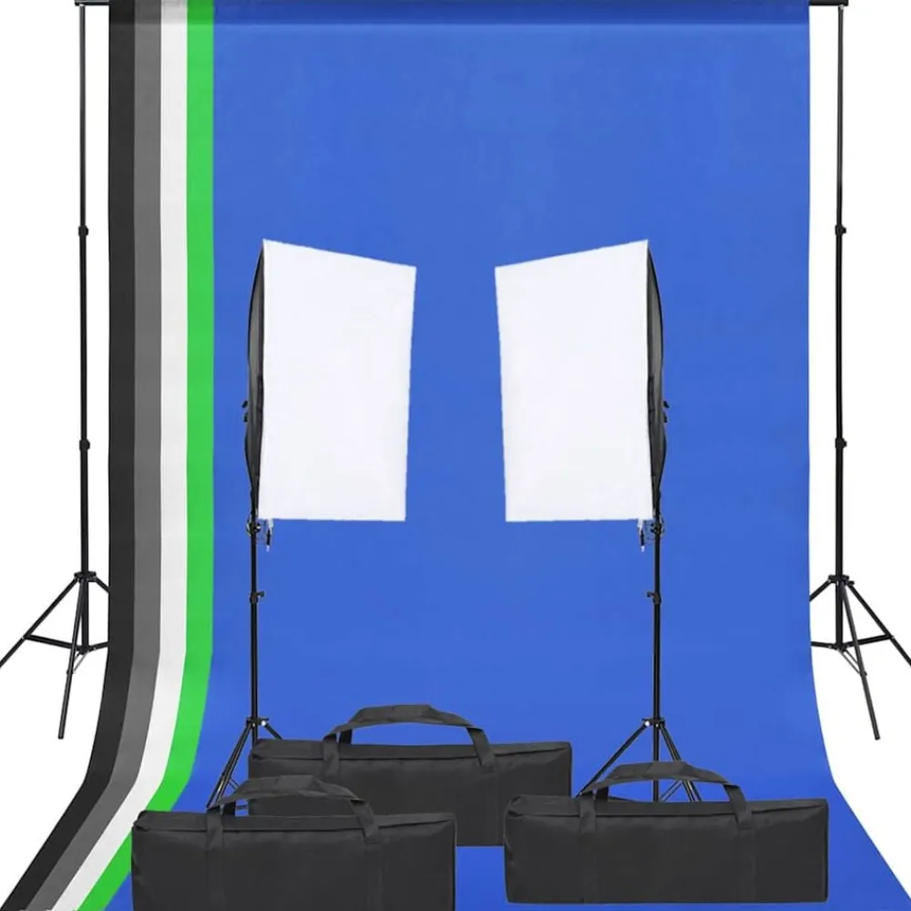 vidaXL Kit de estudio fotográfico con set de luces y fondo Outlet