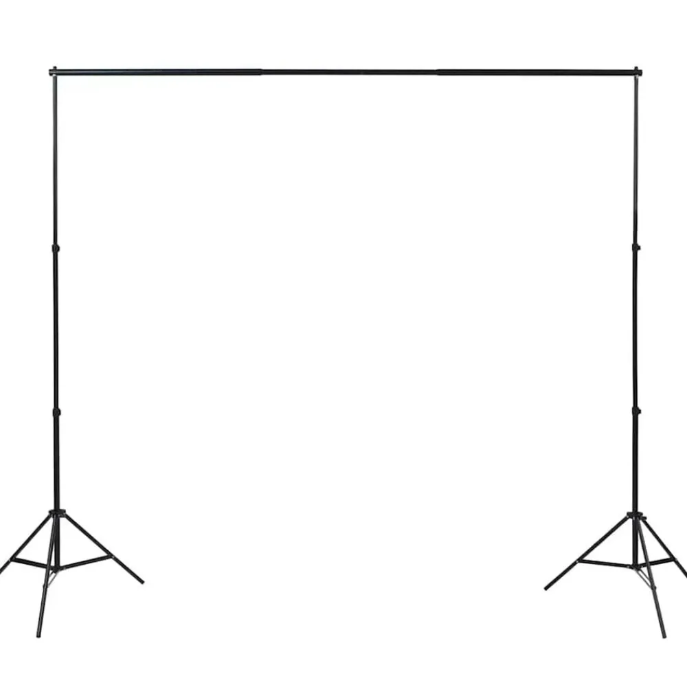 vidaXL Kit de estudio fotográfico con set de luces y fondo New