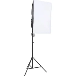 vidaXL Kit de estudio fotográfico con set de luces, fondo y reflector Sale