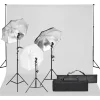 vidaXL Kit de estudio fotográfico con set de luces y fondo