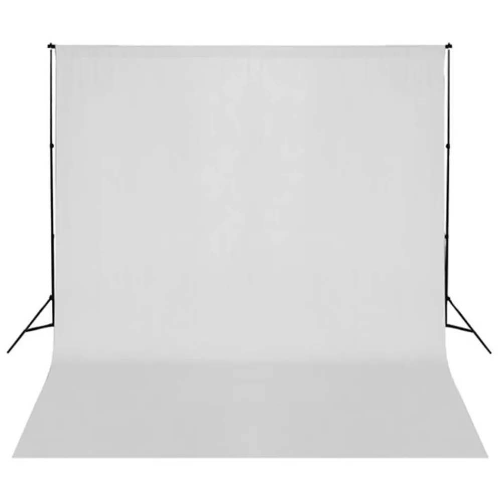 vidaXL Kit de estudio fotográfico con set de luces y fondo