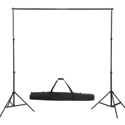 vidaXL Kit de estudio fotográfico con set de luces y fondo