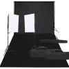 vidaXL Kit de estudio fotográfico con set de luces y fondo Hot