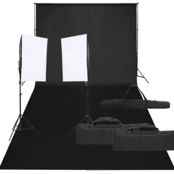 vidaXL Kit de estudio fotográfico con set de luces y fondo Hot