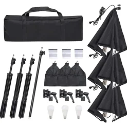 vidaXL Kit de estudio fotográfico con set de luces y fondo New
