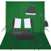 vidaXL Kit de estudio fotográfico con set de luces y fondo New