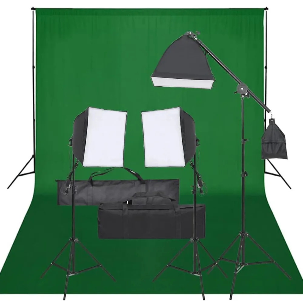 vidaXL Kit de estudio fotográfico con set de luces y fondo New