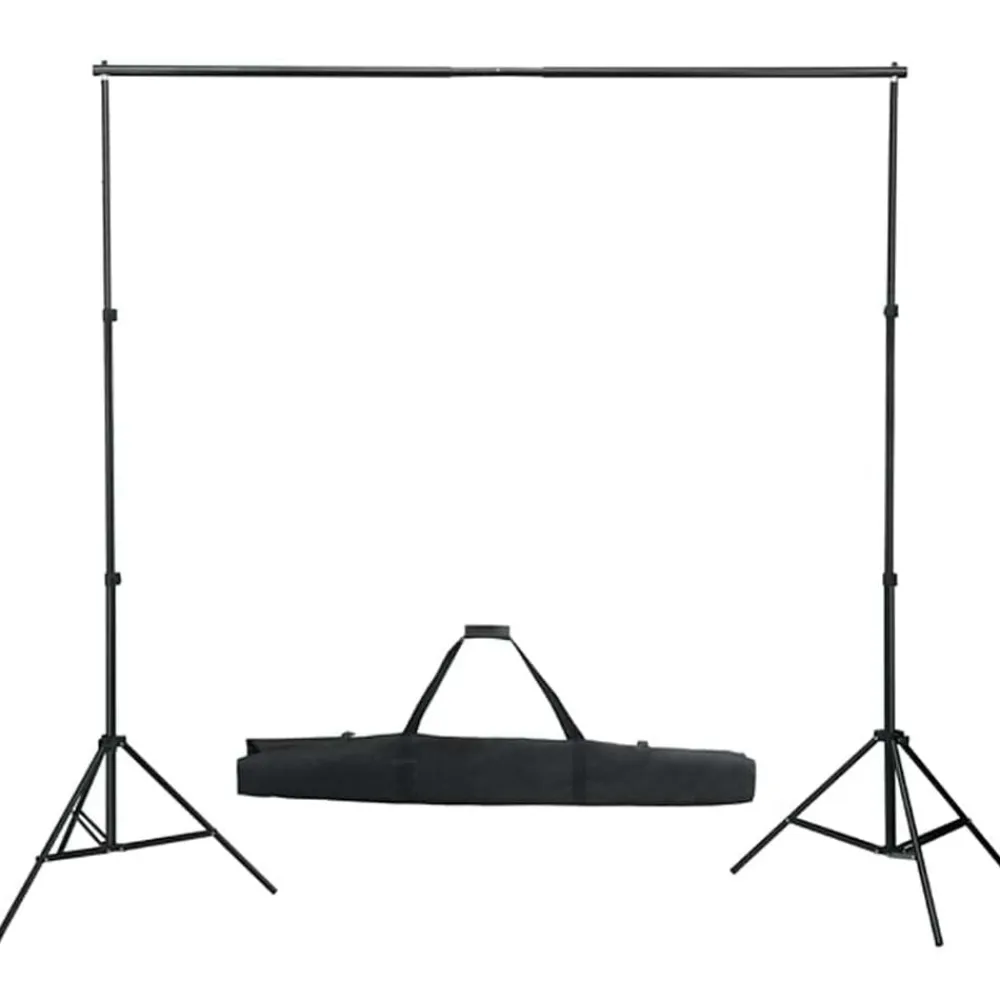 vidaXL Kit de estudio fotográfico con set de luces y fondo New