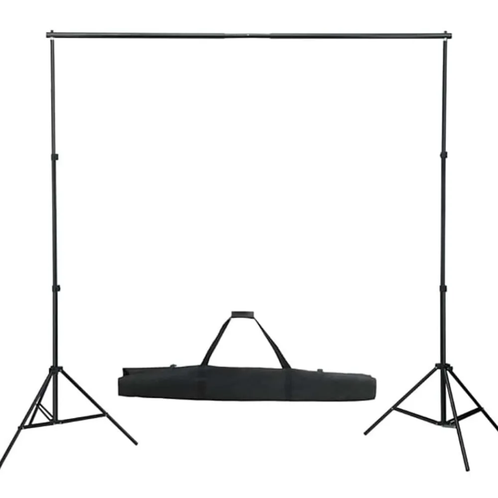 vidaXL Kit de estudio fotográfico con set de luces y fondo Clearance