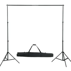 vidaXL Kit de estudio fotográfico con set de luces y fondo Verde Best