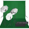 vidaXL Kit de estudio fotográfico con set de luces y fondo Discount