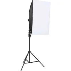 vidaXL Kit de iluminación para estudio fotográfico