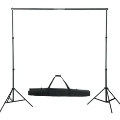 vidaXL Kit estudio fotográfico con telón de fondo, lámparas y paraguas Verde Online