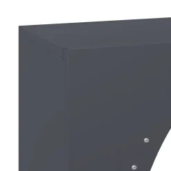 vidaXL Leñero 50x23x100 cm Acero laminado en frío Antracita Outlet