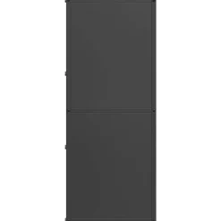 vidaXL Leñero 40x30x75 cm Acero laminado en frío Negro Best