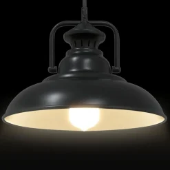 vidaXL Iluminación-Lámpara colgante E27 negra Ø 31 cm Hierro