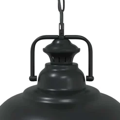 vidaXL Iluminación-Lámpara colgante E27 negra Ø 31 cm Hierro