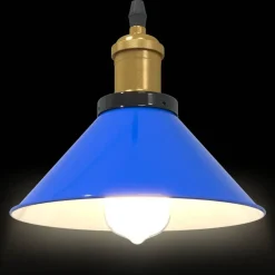 vidaXL Iluminación-Lámpara colgante regulable en altura E27 oscuro brillante Ø22cm
