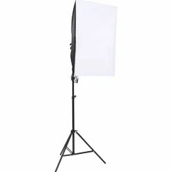 vidaXL Lámparas de estudio profesional 2 unidades 40x60 cm