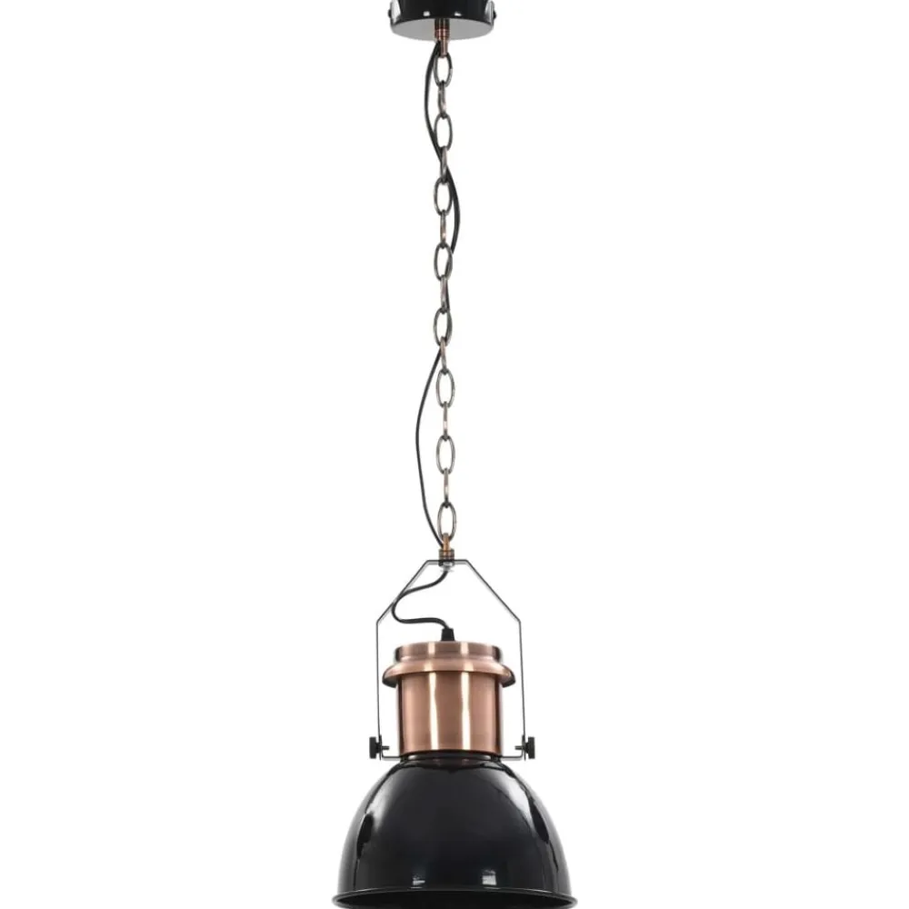 vidaXL Iluminación-Lámparas de techo 2 unidades redondas negro E27
