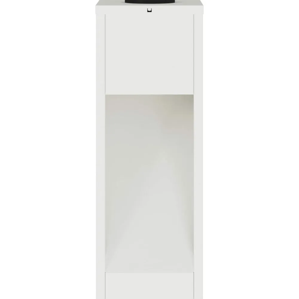 vidaXL Luz de Sendero LED Solar 2 pcs Acero laminado en frío White Hot