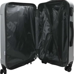 vidaXL Maleta 3 pcs 50 x 31 x 78 cm Plástico ABS Plateado Online