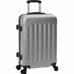 vidaXL Maleta 3 pcs 50 x 31 x 78 cm Plástico ABS Plateado Online