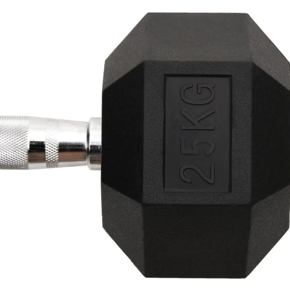 vidaXL Mancuerna hierro fundido 25 kg Clearance