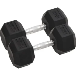 vidaXL Mancuernas 2 unidades total hierro fundido 20 kg Best