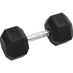 vidaXL Mancuernas 2 unidades total hierro fundido 20 kg Best