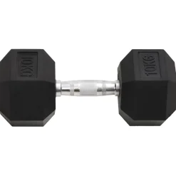 vidaXL Mancuernas 2 unidades total hierro fundido 20 kg Best
