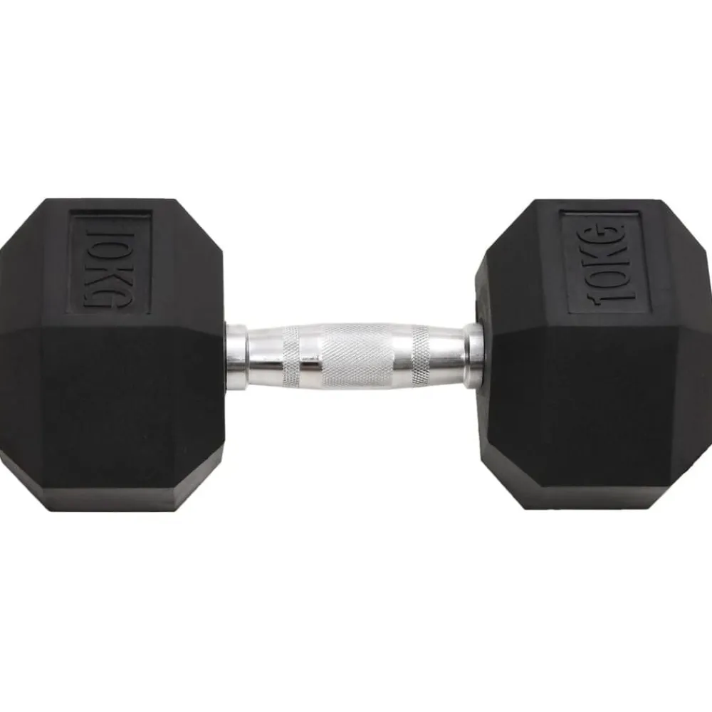 vidaXL Mancuernas 2 unidades total hierro fundido 20 kg Best