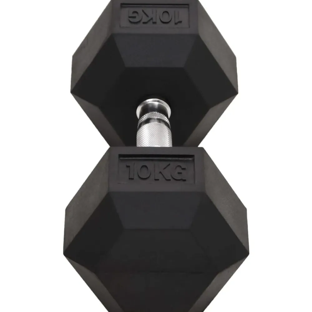 vidaXL Mancuernas 2 unidades total hierro fundido 20 kg Best