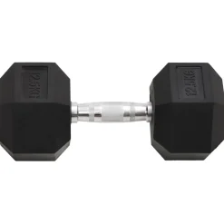 vidaXL Mancuernas 2 unidades total hierro fundido 25 kg Discount