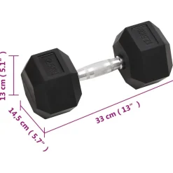 vidaXL Mancuernas 2 unidades total hierro fundido 25 kg Discount