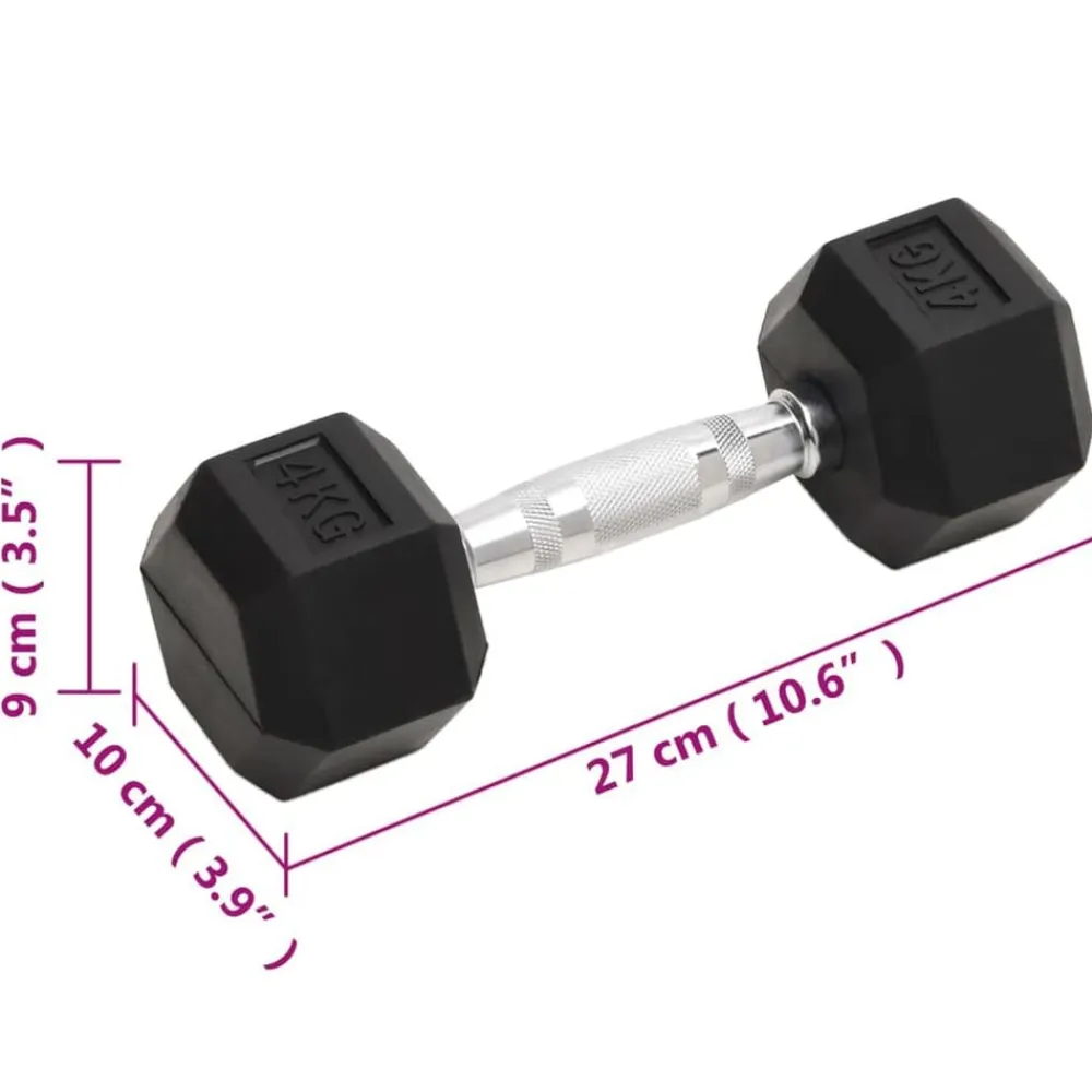 vidaXL Mancuernas 2 unidades total hierro fundido 8 kg Online