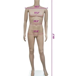 vidaXL Maniquí de hombre sin cabeza Online