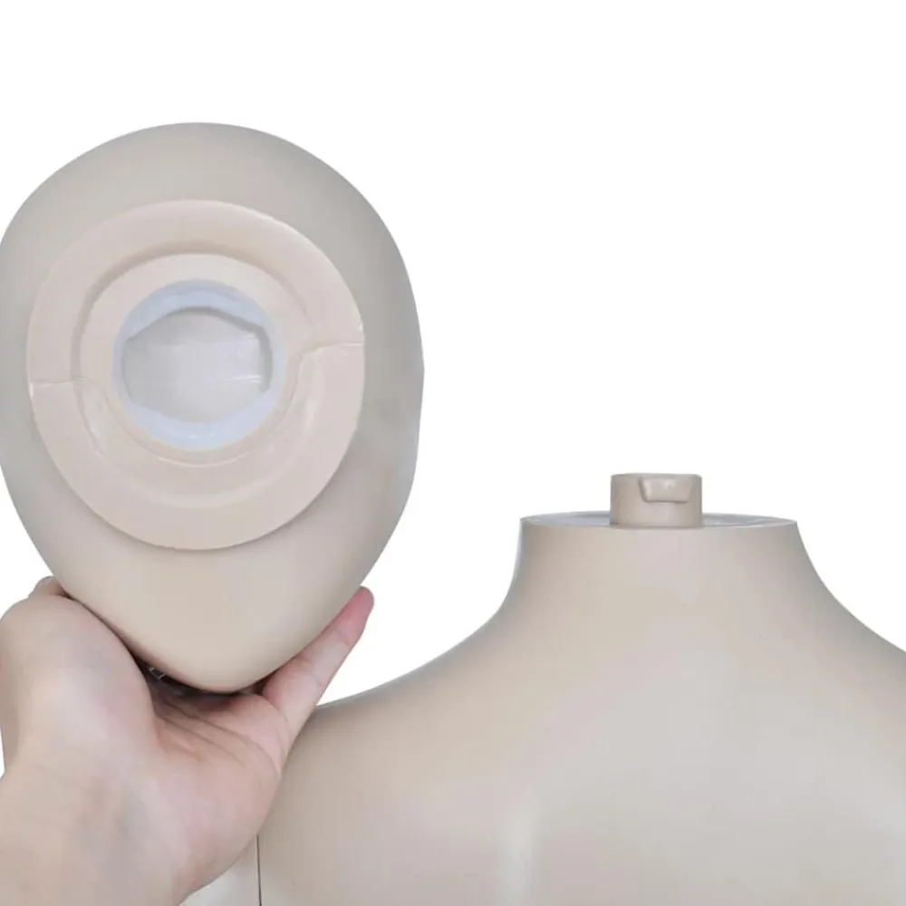 vidaXL Maniquí de mujer con cabeza redonda New