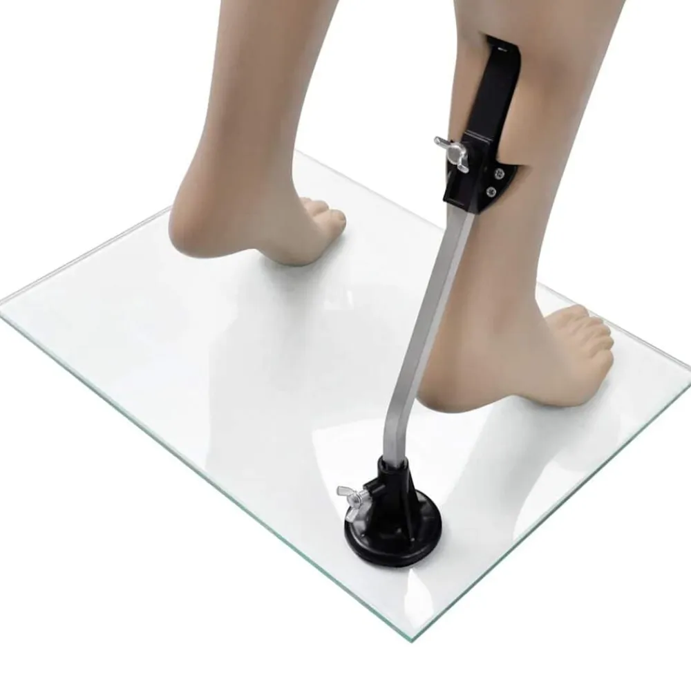 vidaXL Maniquí de mujer con cabeza redonda New