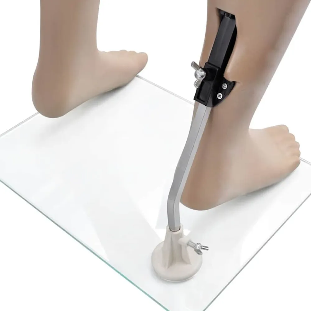 vidaXL Venta Al Por Menor-Maniquí de mujer con cabeza redonda
