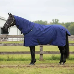 vidaXL Manta para Caballo Verde Oscuro y Negro 75 cm Poliéster Azul marino Clearance
