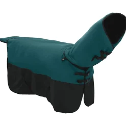 vidaXL Actividades Al Aire Libre-Manta para Caballo Verde Oscuro y Negro 75 cm Poliéster