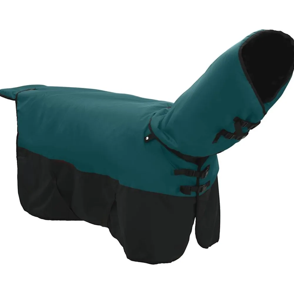 vidaXL Actividades Al Aire Libre-Manta para Caballo Verde Oscuro y Negro 75 cm Poliéster