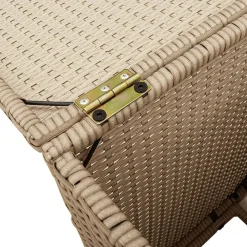 vidaXL Mesa cubierta para bombona de propano ratán 40x40x60 cm Beige