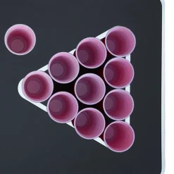 vidaXL Mesa de beer pong plegable con tazas y bolas de 240 cm