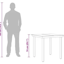 vidaXL Mesa de comedor de jardín acero y vidrio negra 80x80x74 cm Outlet