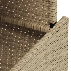 vidaXL Muebles De Jardín-Mesa de jardín ratán PE y madera de acacia 100x55x73 cm