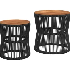 vidaXL Muebles De Jardín-Mesas auxiliares jardín 2 pzas superficie de madera ratán