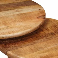 vidaXL Mesas de Café Nido 2 pcs Marrón Madera de mango maciza Online
